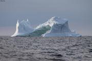 Iceberg en mer du Labrador©Minoli Dias