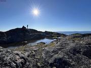 Eric cairn soleil Labrador©Rachel Robert