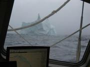 Iceberg Baffin Bay
