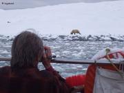 Nombreuses visites d ours
