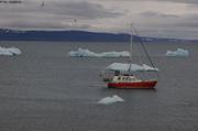 Vagabond icebergs Sveabreen
