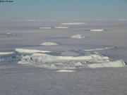 Banquise et icebergs Terre Adelie