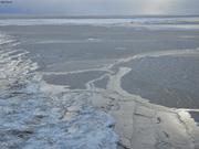 Jeune glace ocean Arctique©EB