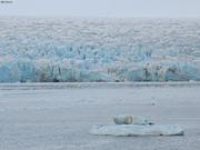 Etonbreen©EB