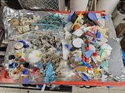 Dechets plastiques collectes sur plage Barentsoya©EB